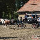 zdjęcie nr 82