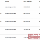 zdjęcie nr 8