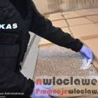 zdjęcie nr 7
