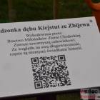 zdjęcie nr 162