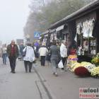 zdjęcie nr 42