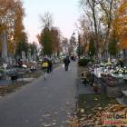 zdjęcie nr 31