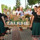 zdjęcie nr 98