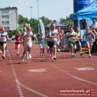 zdjęcie nr 176