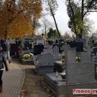 zdjęcie nr 18