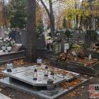 zdjęcie nr 74