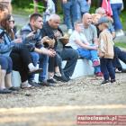 zdjęcie nr 41