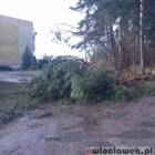 zdjęcie nr 10