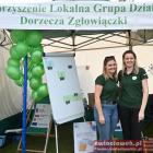 zdjęcie nr 15