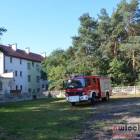 zdjęcie nr 9