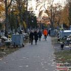 zdjęcie nr 18