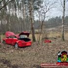 Fotka nr 2 z 4