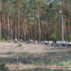 zdjęcie nr 38