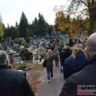 zdjęcie nr 12