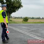 Fotka nr 1 z 5