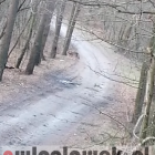 Fotka nr 3 z 4