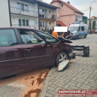 zdjęcie nr 10