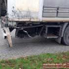 Fotka nr 2 z 4