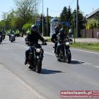 zdjęcie nr 133