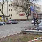 Fotka nr 3 z 13