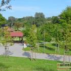 zdjęcie nr 8