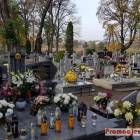 zdjęcie nr 12