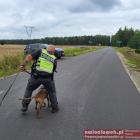 zdjęcie nr 8