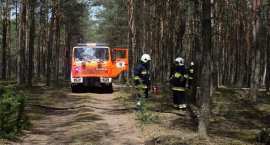 Fotka nr 1 z 93