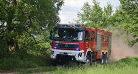 zdjęcie nr 61