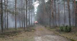 Fotka nr 2 z 93