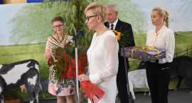 zdjęcie nr 170