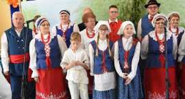 zdjęcie nr 254