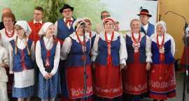 zdjęcie nr 251