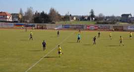 zdjęcie nr 27