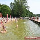 zdjęcie nr 50