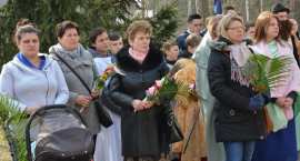 zdjęcie nr 44