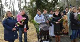zdjęcie nr 45