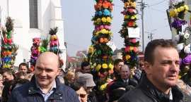 zdjęcie nr 55