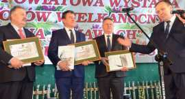 zdjęcie nr 192