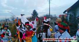 zdjęcie nr 8