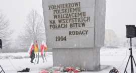 zdjęcie nr 39