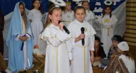 zdjęcie nr 11