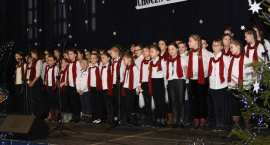 zdjęcie nr 115