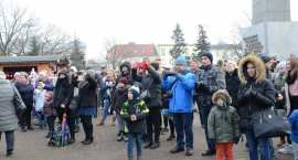zdjęcie nr 43