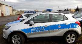 Fotka nr 2 z 5