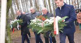 zdjęcie nr 28