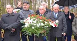 zdjęcie nr 25