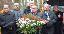 zdjęcie nr 19