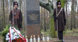 zdjęcie nr 11