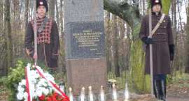 zdjęcie nr 14